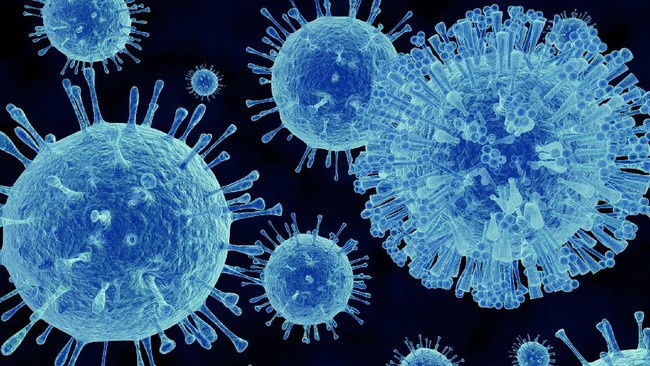 China diserang norovirus hingga pemimpin oposisi Malaysia Anwar Ibrahim dipanggil polisi soal klaim dapat dukungan untuk jadi PM, ramaikan berita internasional.