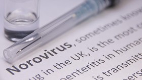 Ada di Indonesia, Norovirus Jadi Penyebab Keracunan Makanan