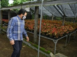 Strategi Integrasi Ekonomi Desa