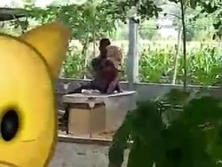 Viral Video Mesum Muda-mudi di Taman Kelono Sewandono Ponorogo