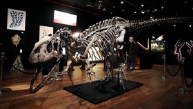Menelusuri Penyebab Dinosaurus Punah