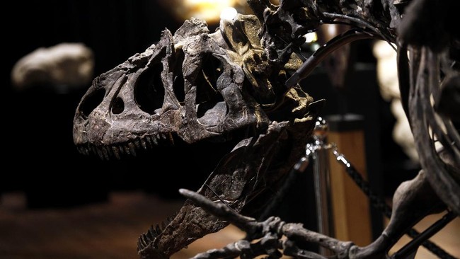 Ahli Paleontologi Meksiko menemukan dinosaurus herbivora besar spesies baru yang hidup 73 juta tahun lalu. 