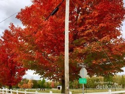 Begitu Cantik Saat Musim Gugur Tiba di Quebec, Kanada