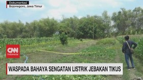 VIDEO: Satu Keluarga Tersengat Jebakan Tikus
