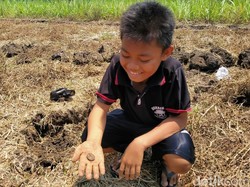 Perburuan Koin Kuno di Sawah Jombang Dihentikan, Ini Alasannya