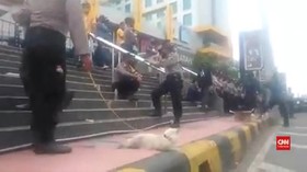 VIDEO: Viral Polisi Bawa Kucing Pelacak
