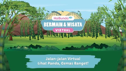 Detik Network