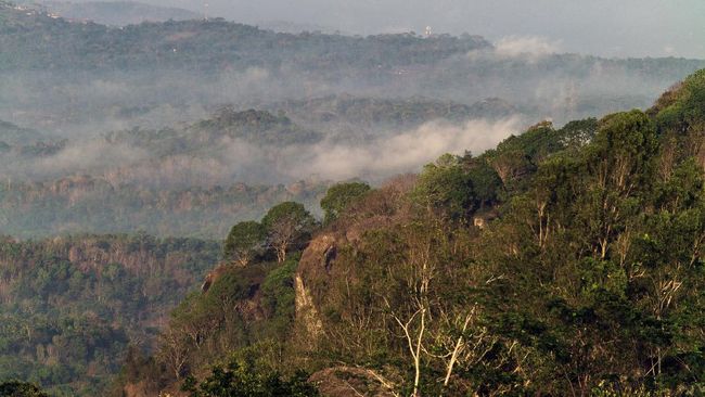 Lokasi warisan geologi baru di Yogyakarta dapat dimanfaatkan sebagai objek penelitian, pendidikan kebumian, dan pengembangan geowisata.