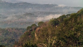 Mengenal Desa Nglanggeran, Peraih Desa Wisata Terbaik Dunia
