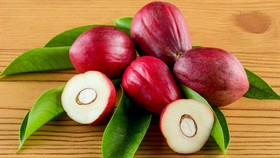 Ilustarasi buah mahkota dewa