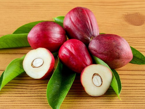 Ilustarasi buah mahkota dewa