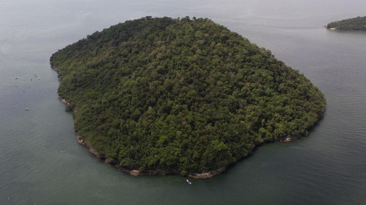 FOTO: Furtada, Pulau bagi Kucing yang Tak Lagi Disayang