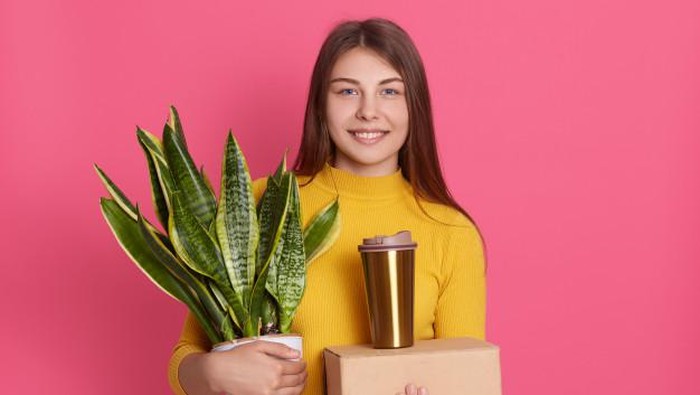 Menurut Feng Shui, Ini 6 Jenis Tanaman Hias Pembawa Keberuntungan