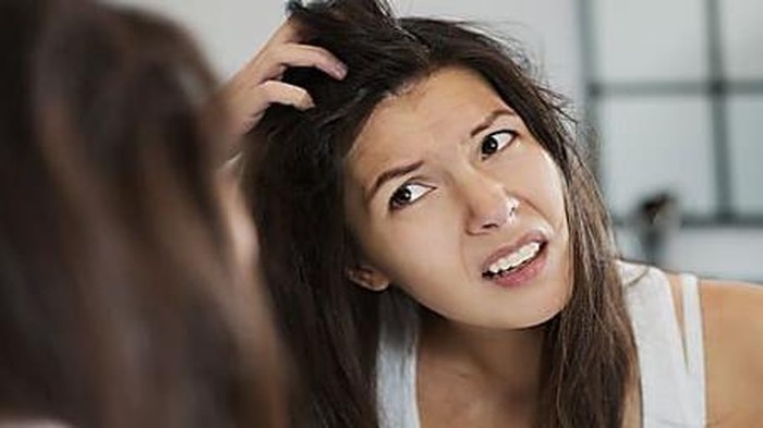 Masih 'Pelihara' Kutu Rambut yang Bikin Ganggu? Ini 5 Cara Ampuh untuk Membasminya! Masih 'Pelihara' Kutu Rambut yang Bikin Ganggu? Ini 5 Cara Ampuh untuk Membasminya!