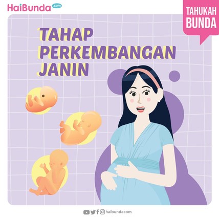 Detik Network