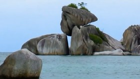 Kecantikan Bawah Laut di Negeri Laskar Pelangi, Belitung