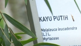 Jaga Imunitas Tubuh Lewat Wisata Kesehatan di Jateng