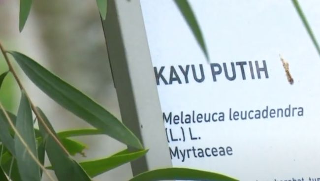 Jaga Imunitas Tubuh Lewat Wisata Kesehatan di Jateng Seiring pandemi Covid-19 yang melanda dunia, masyarakat terlihat lebih peduli kesehatan sehingga meningkatkan potensi wisata di sektor terkait.