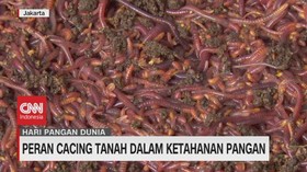 VIDEO: Peran Cacing Tanah Dalam Ketahanan Pangan