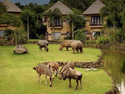 Tempat di Bali Ini Tawarkan Nuansa Afrika