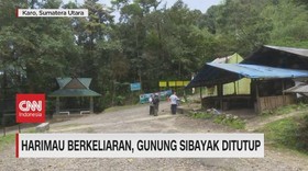 VIDEO: Harimau Berkeliaran, Gunung Sibayak Ditutup