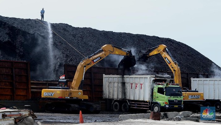 Aktivitas bongkar muat batubara di Terminal Tanjung Priok TO 1, Jakarta Utara, Senin (19/10/2020). Dalam satu kali bongkar muat ada 7300 ton yang di angkut dari kapal tongkang yang berasal dari Sungai Puting, Banjarmasin, Kalimantan. (CNBC Indonesia/Tri Susilo)
Aktivitas dalam negeri di Pelabuhan Tanjung Priok terus berjalan meskipun pemerintan telah mengeluarkan aturan Pembatasan Sosial Bersekala Besar (PSBB) transisi secara ketat di DKI Jakarta untuk mempercepat penanganan wabah virus Covid-19.
Pantauan CNBC Indonesia ada sekitar 55 truk yang hilir mudik mengangkut batubara ini dari kapal tongkang.
Batubara yang diangkut truk akan dikirim ke berbagai daerah terutama ke Gunung Putri, Bogor.
Ada 20 pekerja yang melakukan bongkar muat dan pengerjaannya selama 35 jam untuk memindahkan batubara ke truk. (CNBC Indonesia/ Tri Susilo)