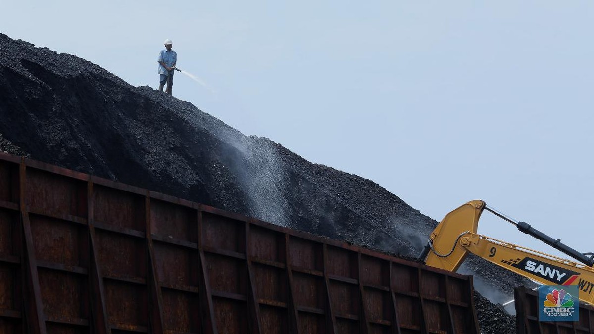 Harga Batu Bara Diramal Bisa Tembus US$ 200, Kuncinya Ada di RI