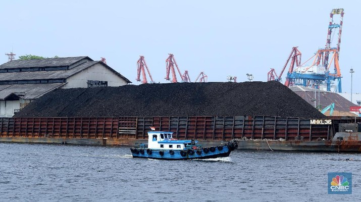 Bongkar Muat Batu bara di Terminal Tanjung Priok TO 1, Jakarta Utara. Aktivitas bongkar muat batubara di Terminal Tanjung Priok TO 1, Jakarta Utara, Senin (19/10/2020). Dalam satu kali bongkar muat ada 7300 ton yang di angkut dari kapal tongkang yang berasal dari Sungai Puting, Banjarmasin, Kalimantan. (CNBC Indonesia/Tri Susilo)
Aktivitas dalam negeri di Pelabuhan Tanjung Priok terus berjalan meskipun pemerintan telah mengeluarkan aturan Pembatasan Sosial Bersekala Besar (PSBB) transisi secara ketat di DKI Jakarta untuk mempercepat penanganan wabah virus Covid-19.
Pantauan CNBC Indonesia ada sekitar 55 truk yang hilir mudik mengangkut batubara ini dari kapal tongkang.
Batubara yang diangkut truk akan dikirim ke berbagai daerah terutama ke Gunung Putri, Bogor.
Ada 20 pekerja yang melakukan bongkar muat dan pengerjaannya selama 35 jam untuk memindahkan batubara ke truk. (CNBC Indonesia/ Tri Susilo)