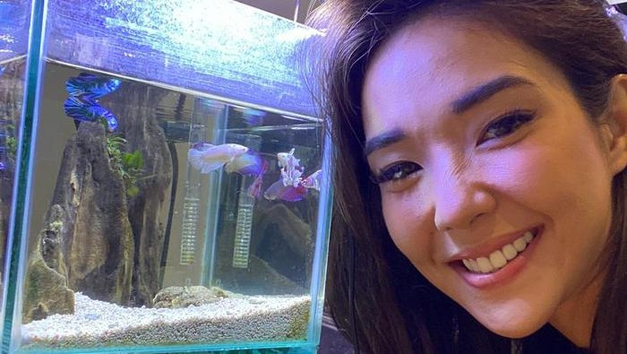 Gisel dan ikan Cupang Gisel dan ikan Cupang