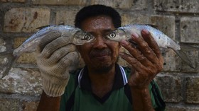 FOTO : Mengintip Juwana, Surga Usaha Bandeng Presto di Pati