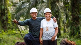RSPO Jamin Beri Perlindungan Upah kepada Pekerja Sawit