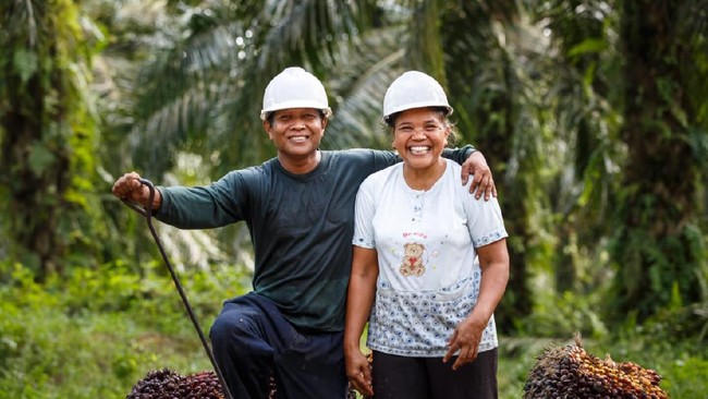 Senior Manager Global RSPO mengatakan pihaknya terus mengupayakan kesejahteraan pekerja industri kelapa sawit dengan mengatur standar perlindungan.