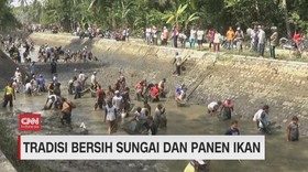 VIDEO: Tradisi Bersih Sungai dan Panen Ikan