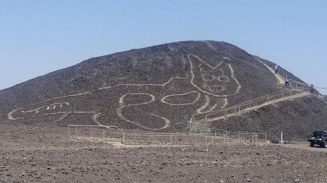 Ukiran kucing raksasa berusia lebih dari 2000 tahun yang lalu ditemukan di lereng bukit gersang di selatan Peru.