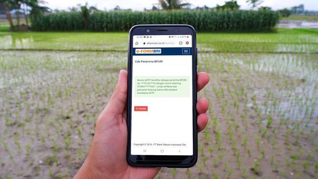 BRI Permudah Masyarakat Terima BPUM dari Pemerintah