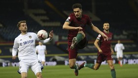 Hasil Liga Inggris: Gol Bunuh Diri, Wolves Kalahkan Leeds 1-0