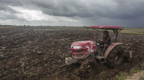 Aktivis soal Food Estate: Tabrak UU hingga Risiko Deforestasi