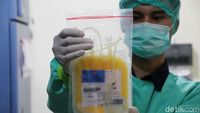 PMI Solo Sediakan Donor Plasma Konvalesen untuk Pasien COVID-19
