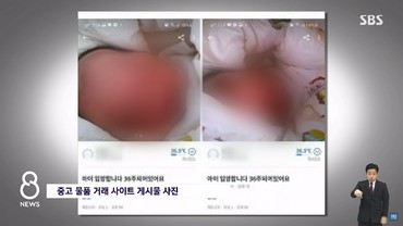 Viral Wanita di Korea Jual Anak secara Online Rp2,5 Juta