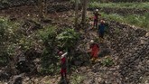 FOTO: Eksplorasi Mata Air Sungai Bawah Tanah di Gunungkidul Demi membantu kebutuhan air bersih warga, Save Rescue Indonesia bersama BPBD Gunungkidul melakukan eksplorasi sungai bawah tanah agar dapat dimanfaatkan.