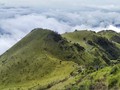 7 Tempat Wisata di Boyolali, 'Selandia Baru' di Pulau Jawa