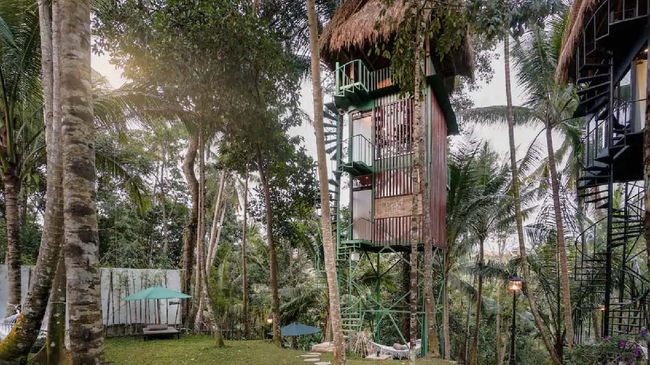 Saat ini ada banyak tempat penginapan yang berkonsep di ketinggian dan dikelilingi pepohonan, sehingga serupa rumah pohon.