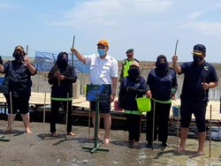 Tanam Mangrove di Brebes, Luhut: Hampir 1 Juta Ha Sekarang Rusak