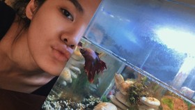 4 Seleb Tergila-gila Ikan Cupang, Gisel hingga Nadine