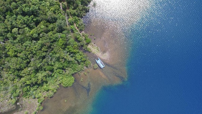 Lele kuning raksasa seperti pisang yang memiliki insang melompat keluar dari air dan masuk ke perahu yang ditumpangi seorang pemancing profesional.