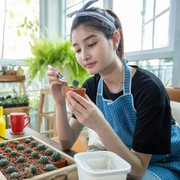 Ingin Menanam Tanaman Untuk Makanan Sendiri Tapi Tidak Punya Lahan? Ikuti Cara Ini!