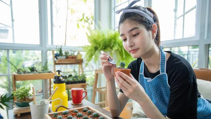Ingin Menanam Tanaman Untuk Makanan Sendiri Tapi Tidak Punya Lahan? Ikuti Cara Ini!