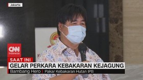 VIDEO: Kata Pakar Kebakaran Hutan Soal Kebakaran Kejagung