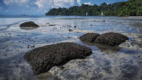 5 Tempat Wisata Menawan di Pulau Penjara Nusakambangan