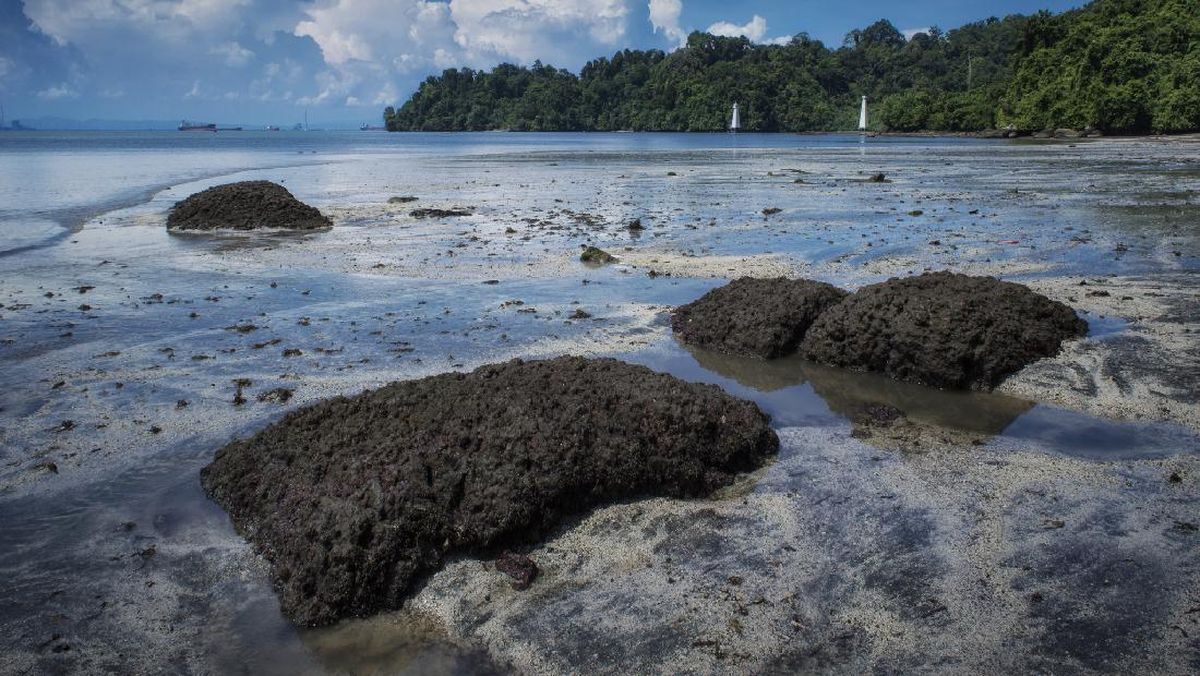 Nusakambangan Ada di Mana? Ini Lokasi dan Sederet Fakta Menariknya